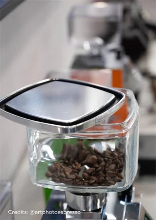 Eureka Bohnenbehälter aus Glas 550 G